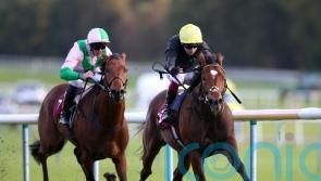 Gosden eager to assess Magisterial potential in Dante outing