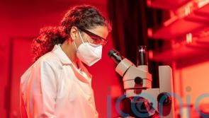 Vision scientists revive light-sensing cells in organ donor eyes