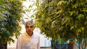 Khan visits US cannabis farms as group considers drug’s decriminalisation
