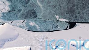 Some Antarctic ice shelves grew in area over the last 20 years – study