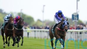 Fine Wine maturing into smart handicap sprinter