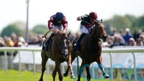 Lilac Road delivered to perfection for Middleton honours