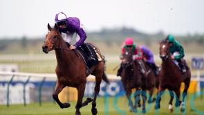 All eyes on Marygate Stakes packed with promise