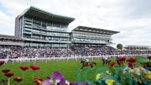 Buke predicts big future for ‘proper horse’ Last Crusader