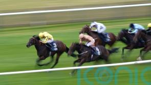 Smart fillies set to do battle on the Knavesmire