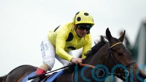 Listed ambitions pay off for Fonteyn team