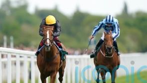Stradivarius back to winning ways in Yorkshire Cup