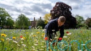 Britain set for summer temperatures over weekend before rain takes over