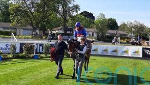 Alfred Munnings posts exciting debut at Leopardstown