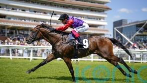 Reach For The Moon and Inspiral feature in Heron Stakes entries