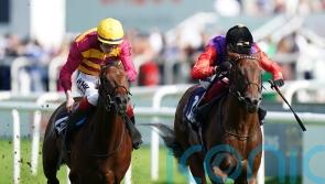 Reach For The Moon poised for Sandown comeback
