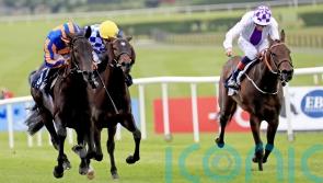 Meditate firmly in Albany Stakes picture