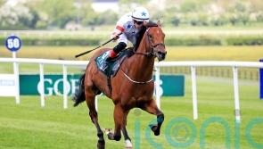Twilight Jet rockets to Lacken Stakes victory