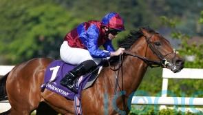 All systems go for Chesham with exciting Alfred Munnings