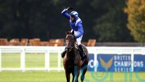 ‘Best since Frankel’ – riding giants salute Lockinge hero Baaeed