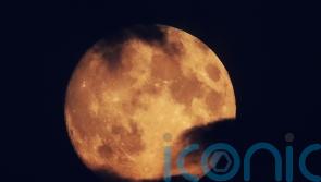Super blood moon set to delight skygazers