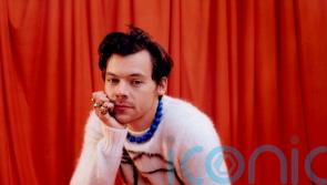 Harry Styles finds new direction on CBeebies Bedtime Stories