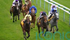 Emaraaty Ana on course for Ascot after rain scuppered prep run