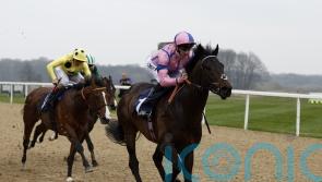 Jersey date in prospect for Checkandchallenge