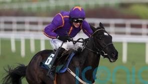 Easy Game grabs Grade Three riches at Killarney