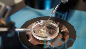 NHS patients faced bigger IVF delays during Covid than those paying privately
