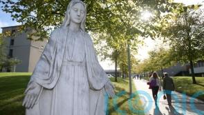 Cabinet expected to sign off on National Maternity Hospital co-location plan