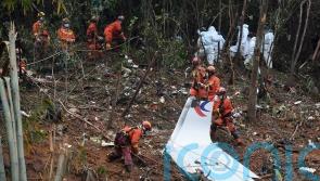 No information released by US about March plane crash, says China