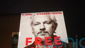 Human rights expert urges Home Secretary not to extradite Julian Assange