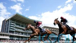 Haggas sets out Nassau aim for York victor Lilac Road