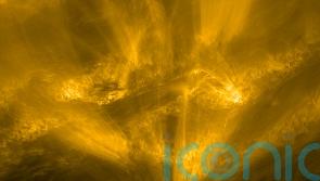 Solar Orbiter images capture the Sun like never before