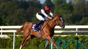 Kyprios on course for Ascot Gold run