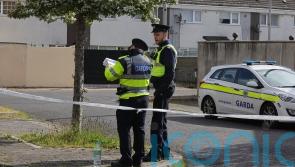 Male witness comes forward to aid Garda murder investigation