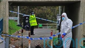 Musician faces life sentence for murdering teenager
