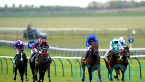 Kingmax to drop in distance at Royal Ascot