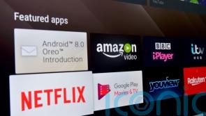 Nadine Dorries admits sharing her Netflix account with other households