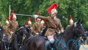 Furry mascot in attendance at final Trooping the Colour practice