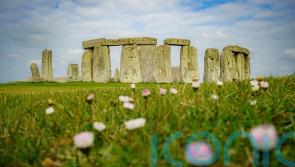 Prehistoric faeces reveal parasites from feasting near Stonehenge