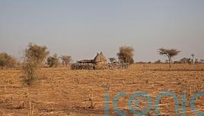 UN warns of 18 million facing severe hunger in region of Africa