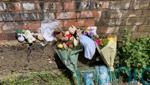 Police ‘no further ahead’ in death probe after baby found in canal a year ago