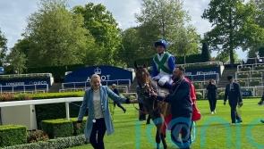 Vafortino team have Royal Ascot options