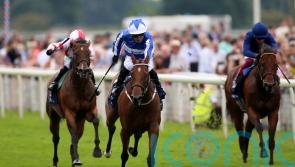 Winter seeking victorious return in Temple test