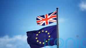 British ambassador rejects idea UK will never be ‘satisfied’ on protocol demands