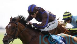 Hannibal Barca swoops for Gallinule glory at the Curragh