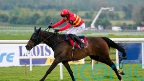 Klassical Dream settles for second in French Champion Hurdle bid