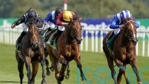 Globetrotting State Of Rest out to realise long-term Curragh plan