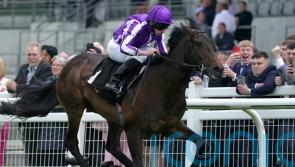 Blackbeard on a roll after Marble Hill triumph