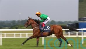 Meade delighted with Lone Eagle’s return to the track