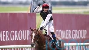 Search For A Song to be kept busy with ultimate aim of third Irish Leger