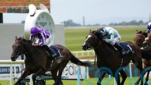 Alenquer denies High Definition in Tattersalls Gold Cup thriller