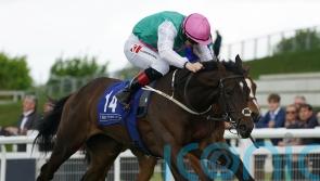Zarinsk promises plenty in Curragh maiden victory
